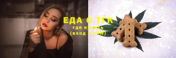 дмт Краснослободск