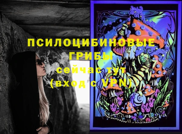 дмт Краснослободск