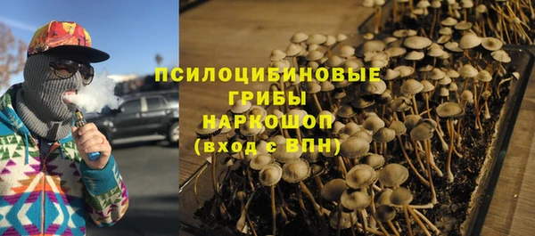 дмт Краснослободск
