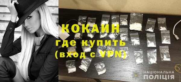 дмт Краснослободск