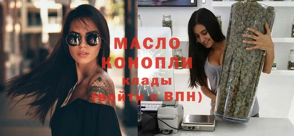 дмт Краснослободск