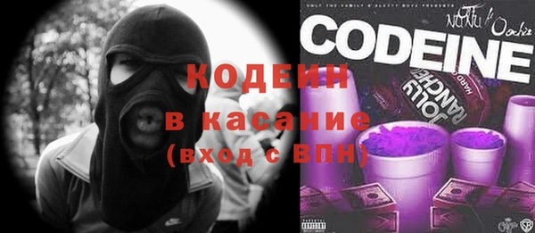 дмт Краснослободск